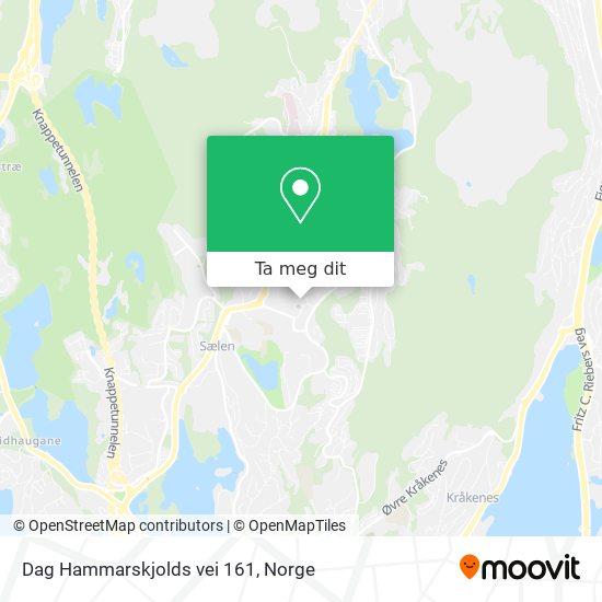 Dag Hammarskjolds vei 161 kart