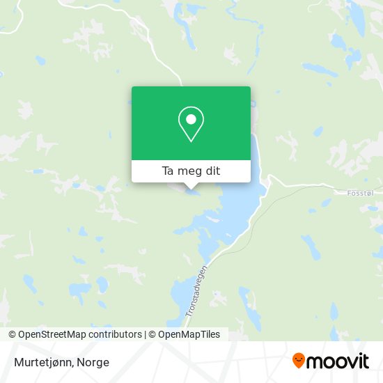 Murtetjønn kart