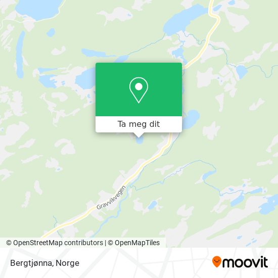 Bergtjønna kart