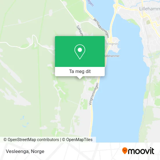 Vesleenga kart