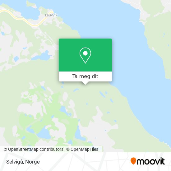 Selvigå kart