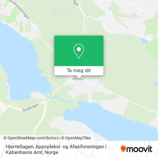 HjerneSagen, Appopleksi- og Afasiforeningen i Københavns Amt kart