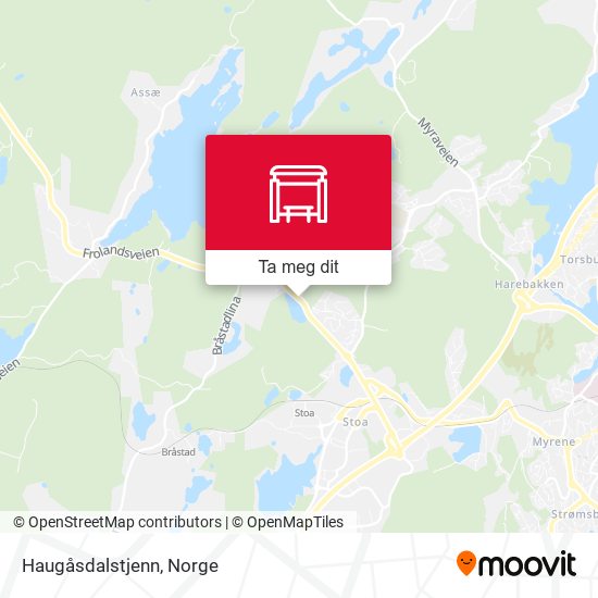 Haugåsdalstjenn kart