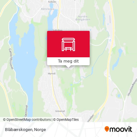 Blåbærskogen kart
