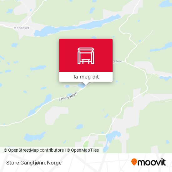 Store Gangtjønn kart
