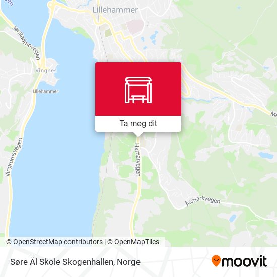 Søre Ål Skole Skogenhallen kart