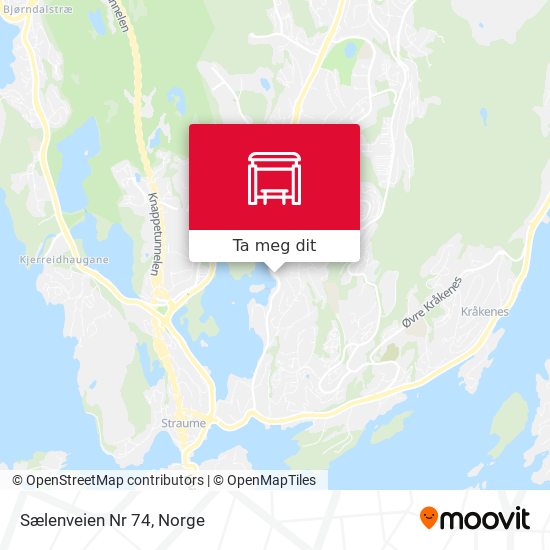 Sælenveien Nr 74 kart