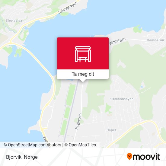Bjorvik kart