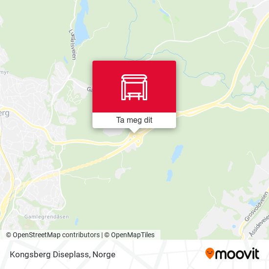 Kongsberg Diseplass kart