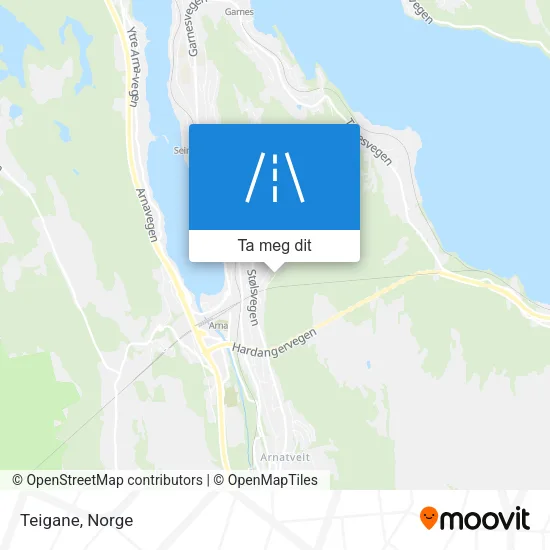 Teigane kart
