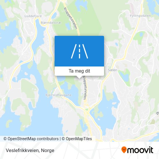 Veslefrikkveien kart