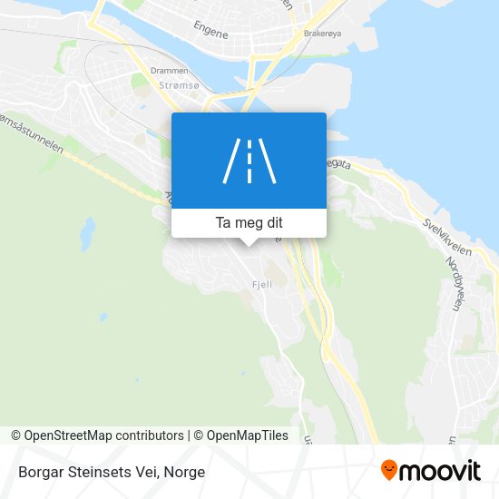 Borgar Steinsets Vei kart