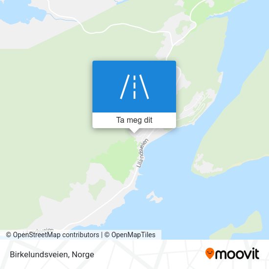 Birkelundsveien kart
