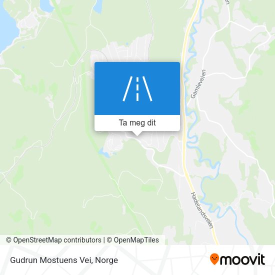 Gudrun Mostuens Vei kart