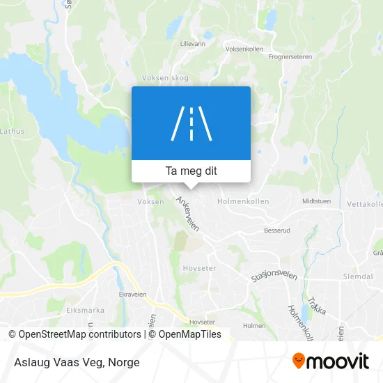 Aslaug Vaas Veg kart