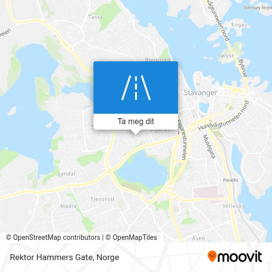 Rektor Hammers Gate kart