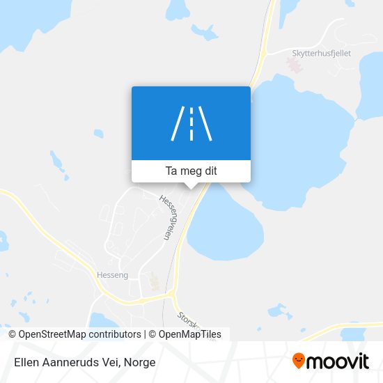 Ellen Aanneruds Vei kart