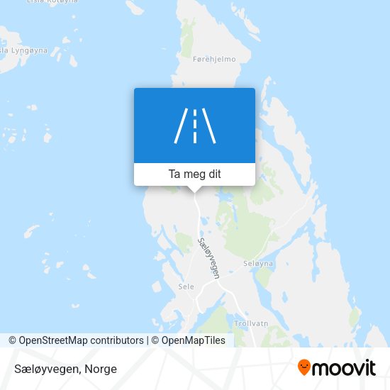 Sæløyvegen kart