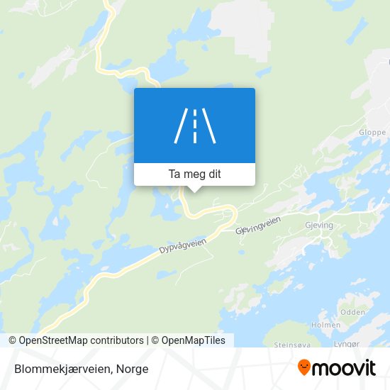 Blommekjærveien kart