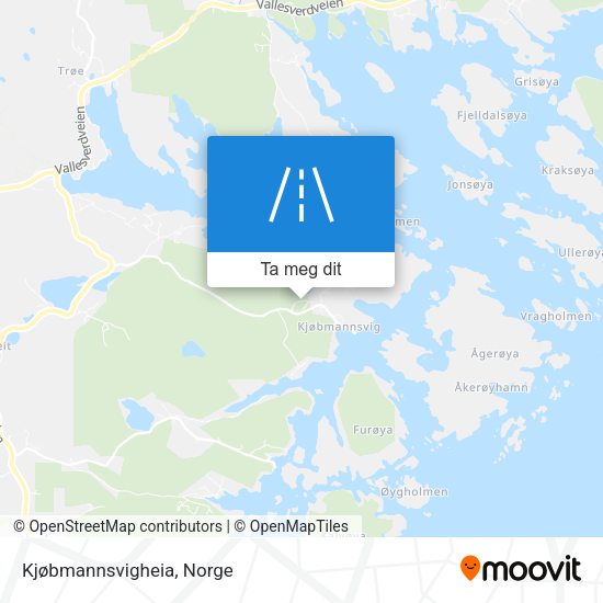 Kjøbmannsvigheia kart