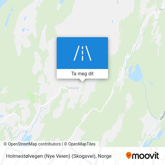 Holmestølvegen (Nye Veien) (Skogsvei) kart