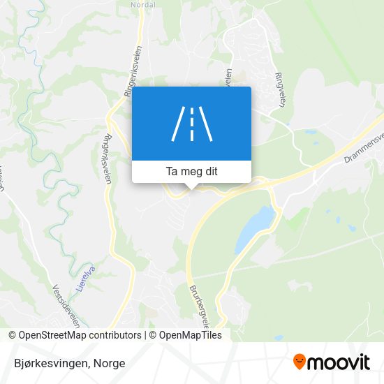 Bjørkesvingen kart