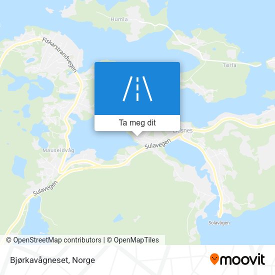 Bjørkavågneset kart
