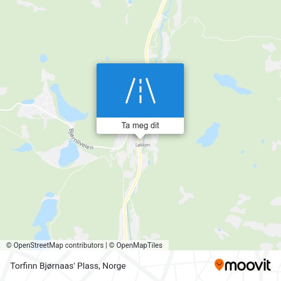 Torfinn Bjørnaas' Plass kart