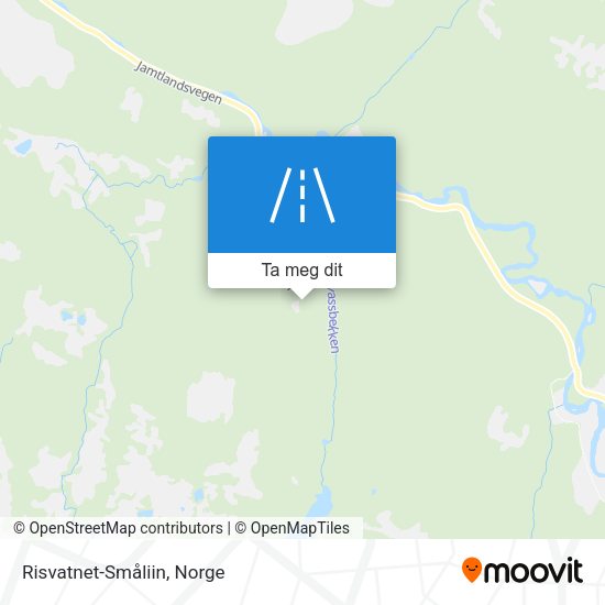 Risvatnet-Småliin kart