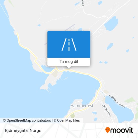Bjørnøygata kart