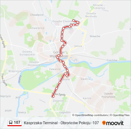 Автобус 107: карта маршрута