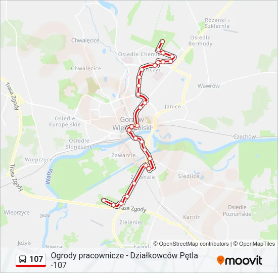 Автобус 107: карта маршрута