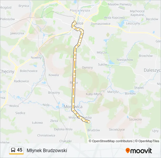 Автобус 45: карта маршрута