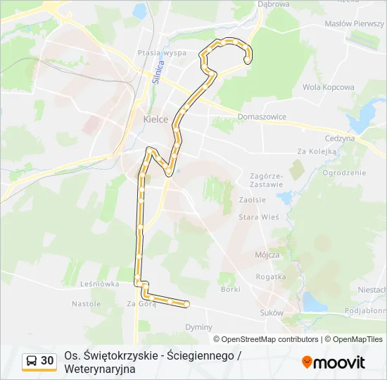 30 Bus Line Map
