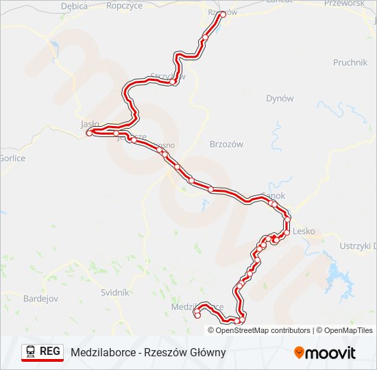 REG train Line Map