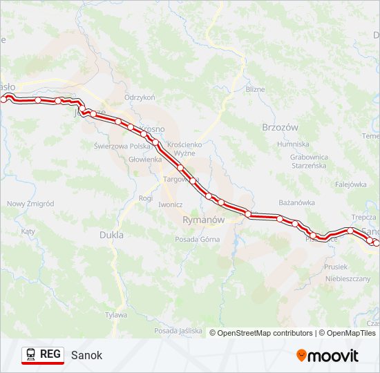 REG train Line Map