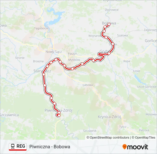 REG Train Line Map