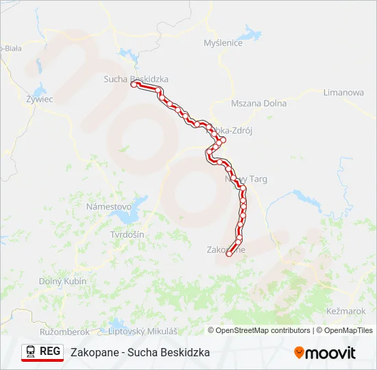 REG Train Line Map