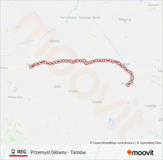 REG Train Line Map
