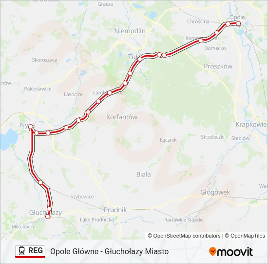 REG Train Line Map