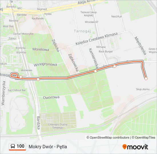 100 Bus Line Map
