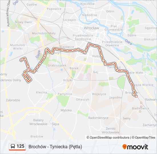 125 bus Line Map