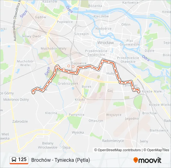 125 Bus Line Map