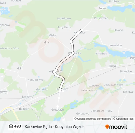 Автобус 493: карта маршрута