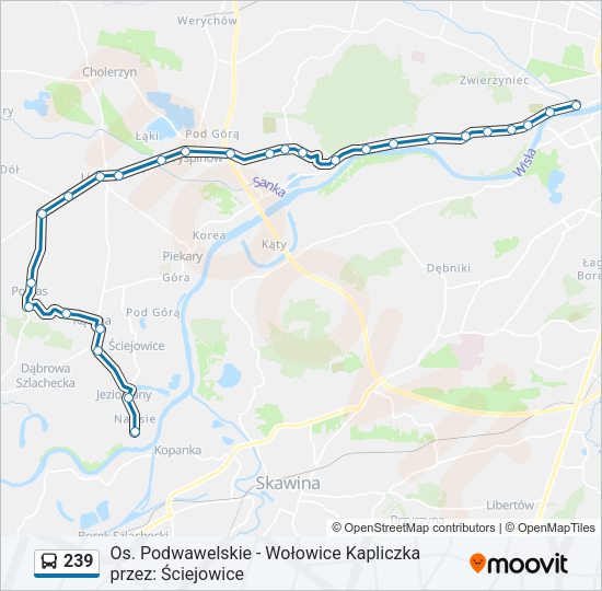 239 Bus Line Map