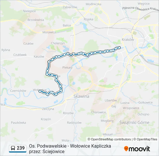 239 Bus Line Map