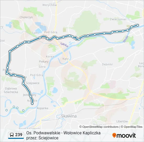239 Bus Line Map