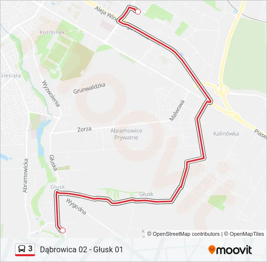3 Bus Line Map