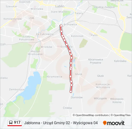 917 Bus Line Map
