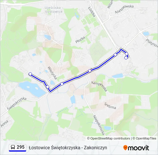 Автобус 295: карта маршрута